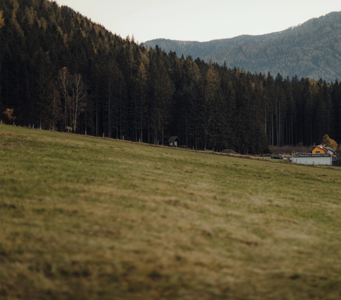 beautiful-shot-village-foot-alps-evening A grassy field stretches toward a dense forest of tall pine trees with mountains in the background. A small cabin and a few buildings are visible near the edge of the forest, evoking the charm of Montana ranches for sale.