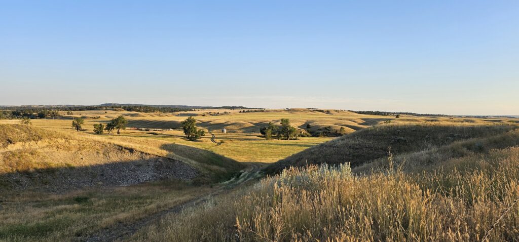Rolling golden hills and grassy fields stretch into the distance under a clear blue sky, with a few scattered trees dotting the landscape—classic scenery found with Montana ranches for sale in the warm evening sunlight. Being used to explain "how much do ranches cost" in Montana and surrounding areas.