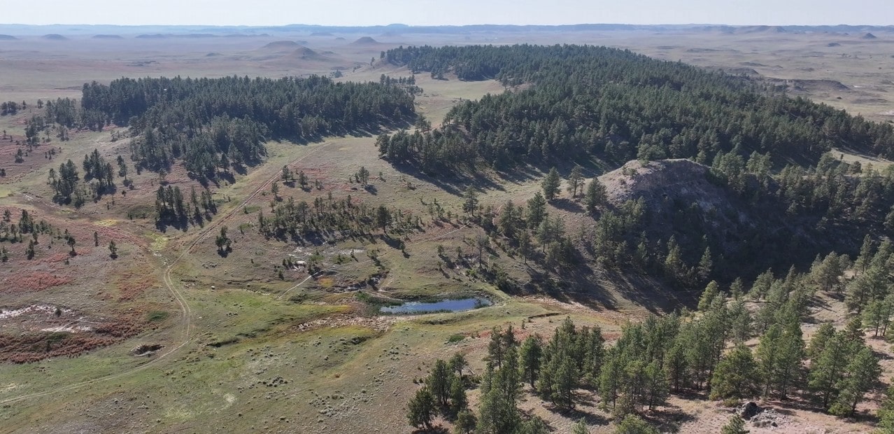 Aerial view of a hilly landscape with scattered pine trees, grassy open areas, a small pond, and distant rolling hills under a clear sky—perfect scenery often found on Montana ranches.