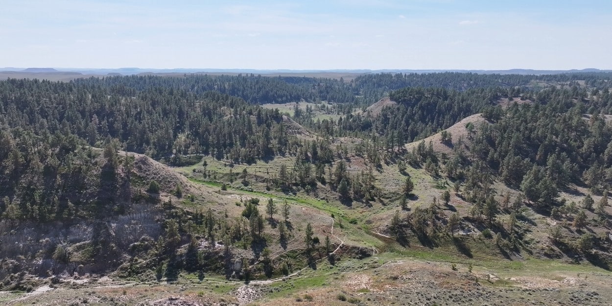 A wide view of a forested landscape with rolling hills, green trees, and patches of grass under a clear blue sky. Dirt paths wind through the hills and valleys, perfect for exploring nearby ranch homes or searching for hunting land.