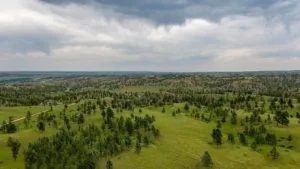 A wide, grassy plain dotted with sparse trees stretches under a cloudy, overcast sky—classic scenery often seen on Montana ranches, with rolling hills visible in the distance.