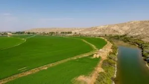 A river runs alongside vibrant green fields under a clear blue sky, with distant hills and sparse trees in the background—perfect scenery for searching ranches for sale or dreaming of peaceful ranch homes.