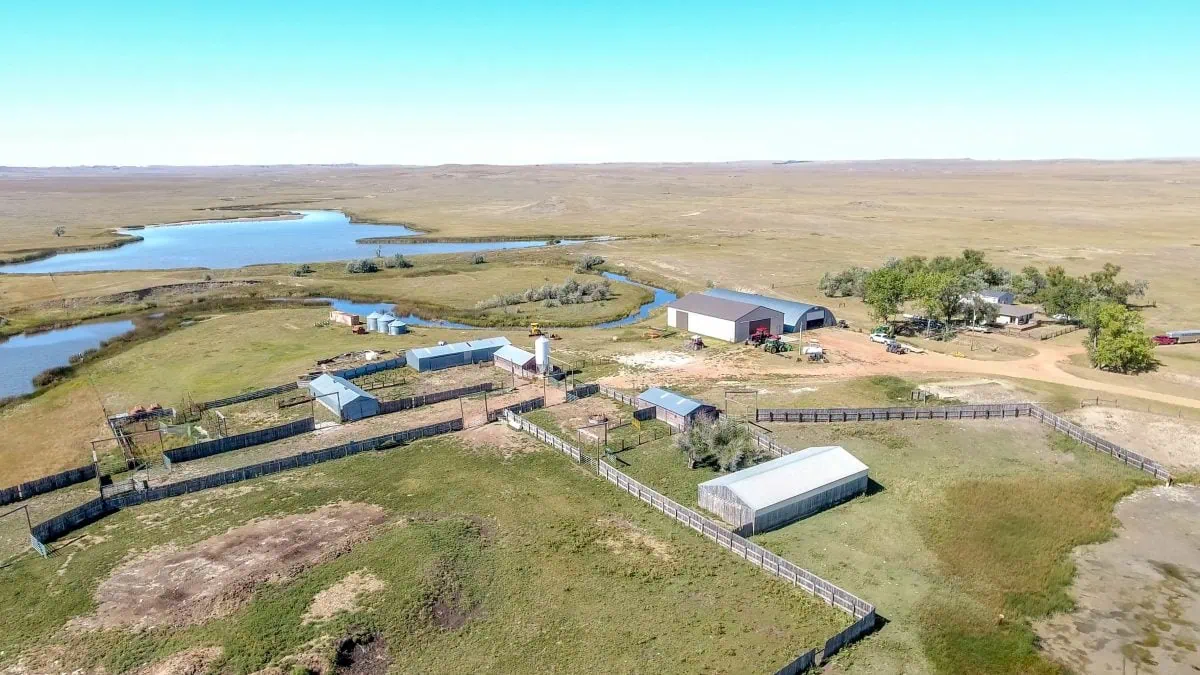 Aerial view of a rural Montana ranch with fenced livestock pens, several outbuildings, trees, and a dirt road, set on open grassland near a winding body of water under a clear blue sky—ideal for those seeking ranches for sale.
