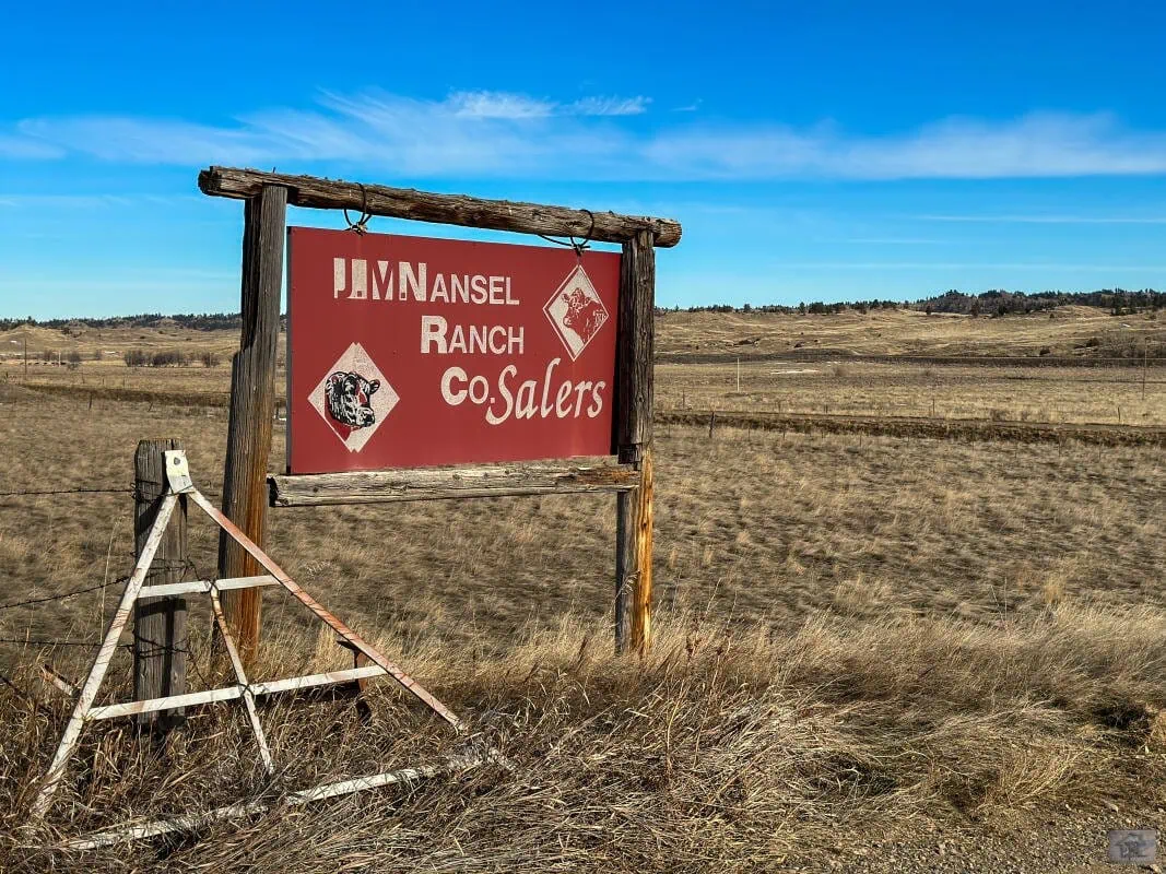 A weathered red sign reading Mansel Ranch Co. Salers with images of cattle stands in a dry, grassy field under a blue sky—an inviting scene for those seeking ranches for sale amid rolling hills and sparse trees.