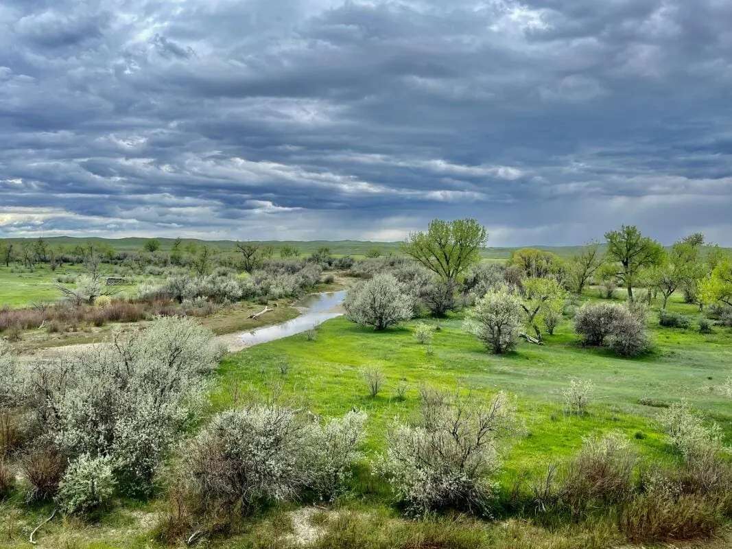 A lush green meadow with scattered shrubs and trees surrounds a winding stream under a dramatic, cloudy sky, suggesting an approaching storm—perfect scenery for ranch homes or those seeking hunting land.