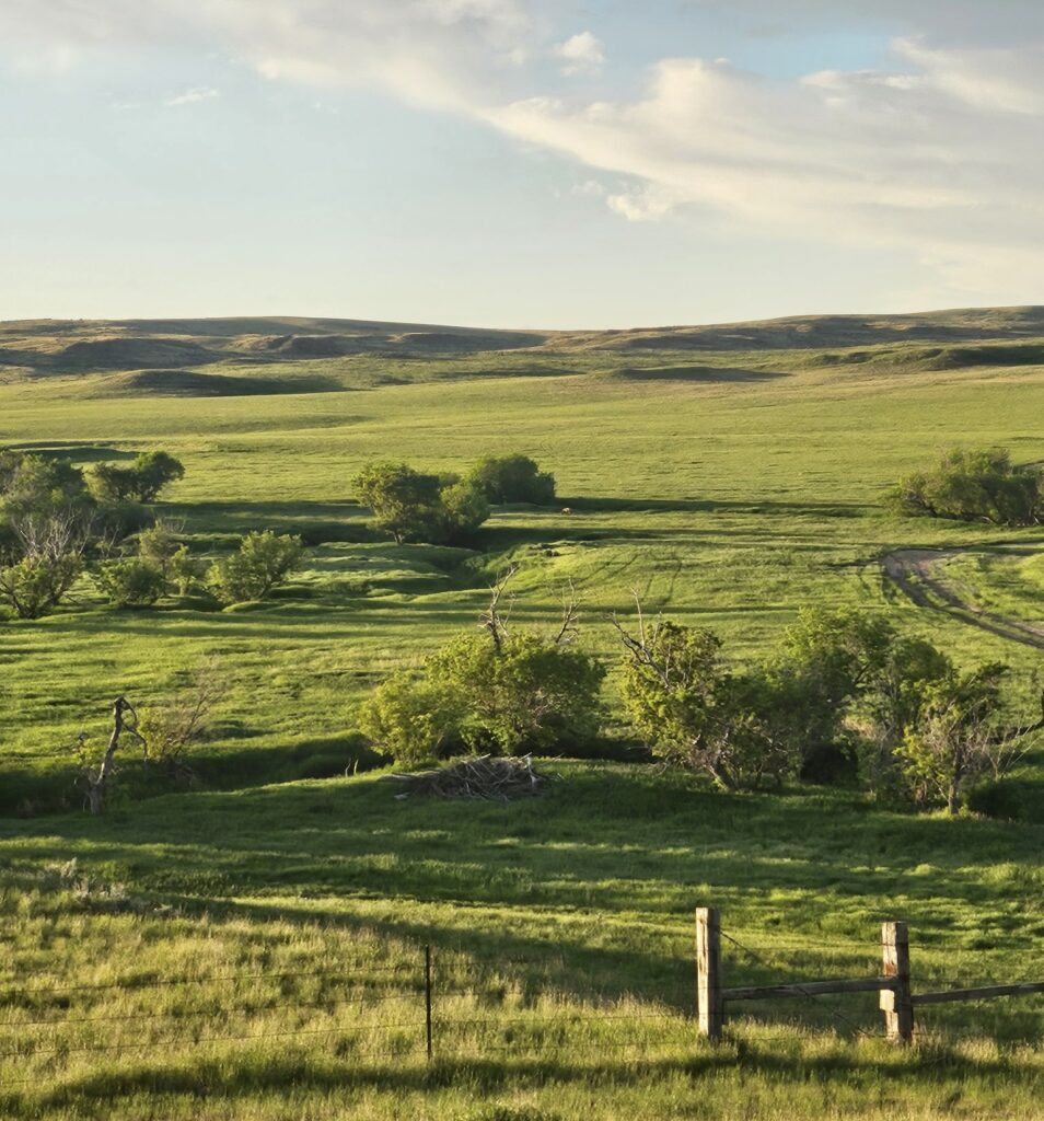 farms and ranches for sale Wide view of a green, grassy landscape with rolling hills, a few scattered trees, and a wooden gate in the foreground under a partly cloudy sky in the early evening light, an example of our farms and ranches for sale.