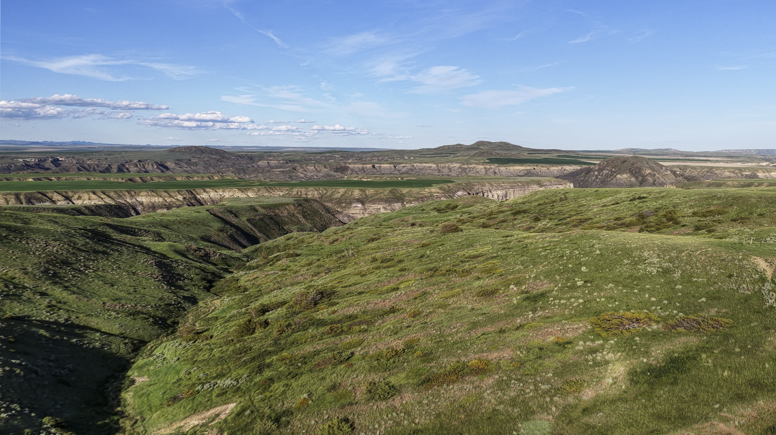 Rolling green hills with sparse vegetation stretch into the distance under a blue sky with scattered clouds, creating a peaceful and expansive natural landscape.