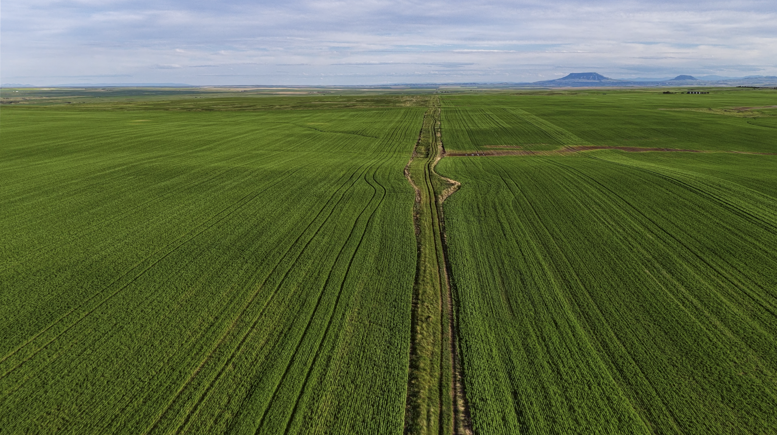 Aerial view of vast, green farmland with neat rows and a dirt path cutting through the middle under a cloudy sky; distant hills are visible on the horizon.
