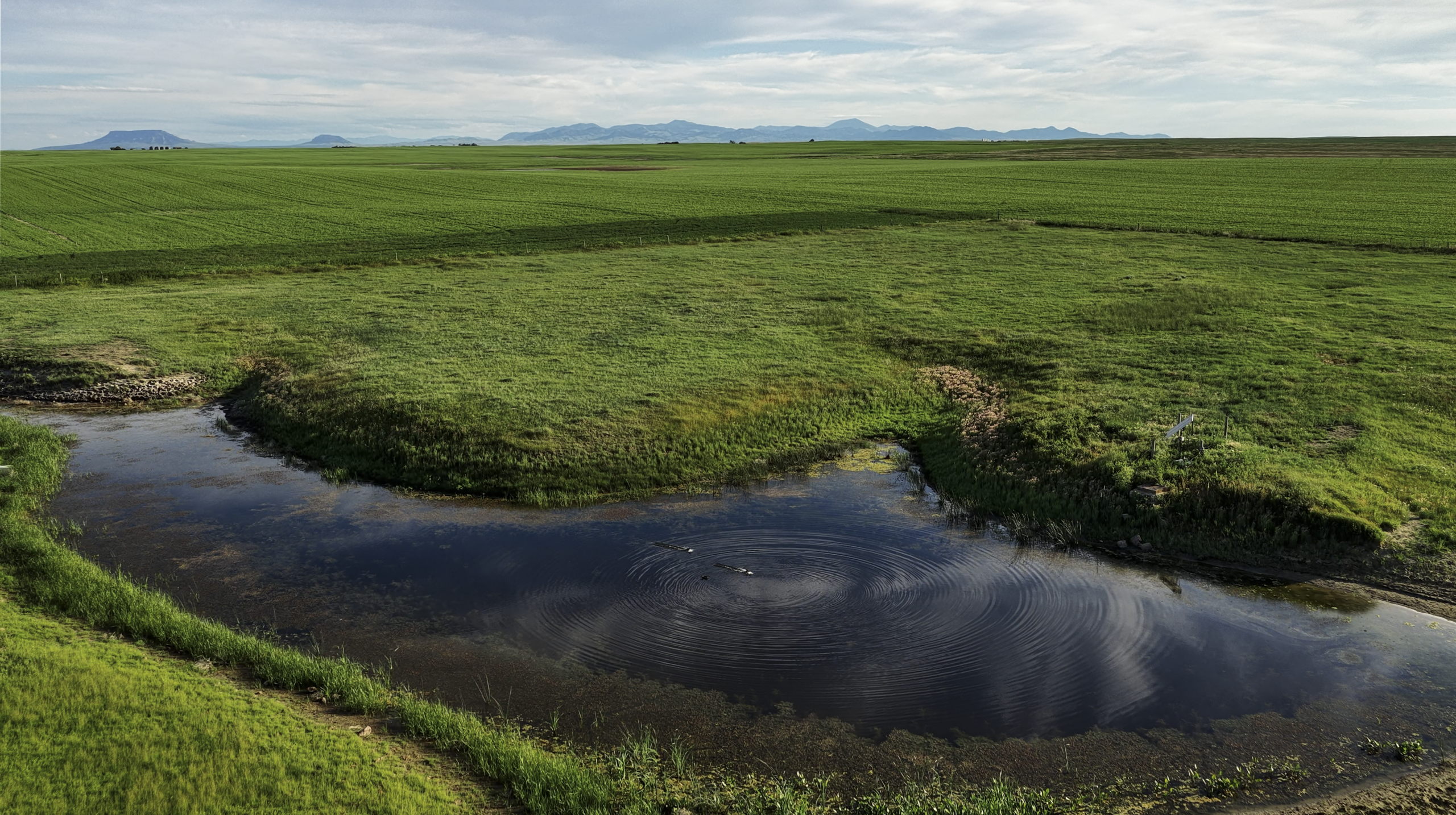 A small pond with ripples in the water surrounded by green grassy fields under a cloudy sky, with distant mountains on the horizon.