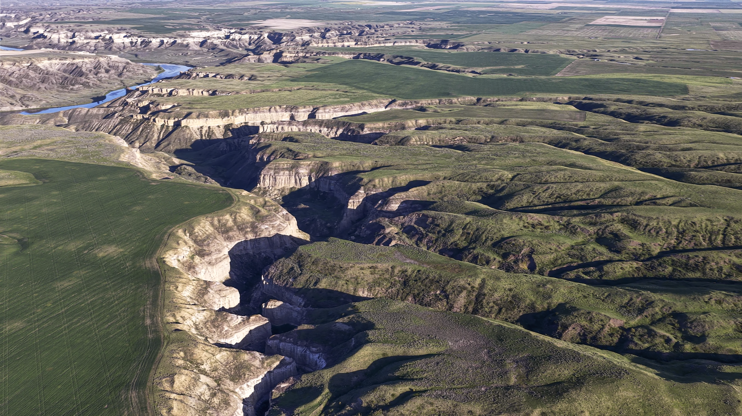 Aerial view of a vast, green landscape with deep canyons and a winding river, contrasting plateaus, and flat agricultural fields in the distance under a clear sky.