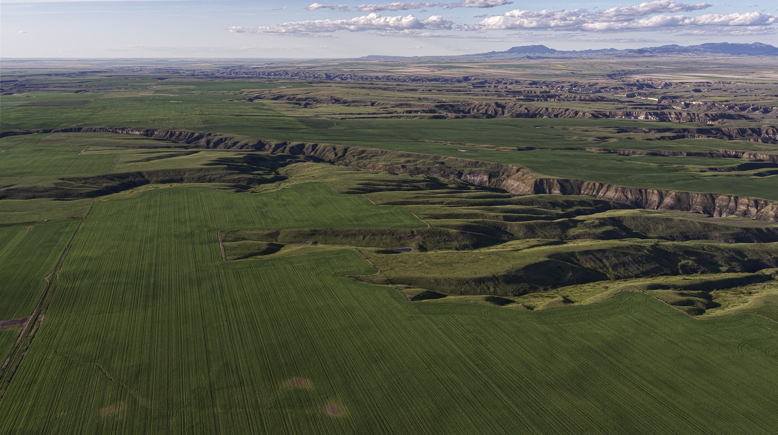 Aerial view of expansive green fields with deep, winding gullies and distant hills under a partly cloudy sky.