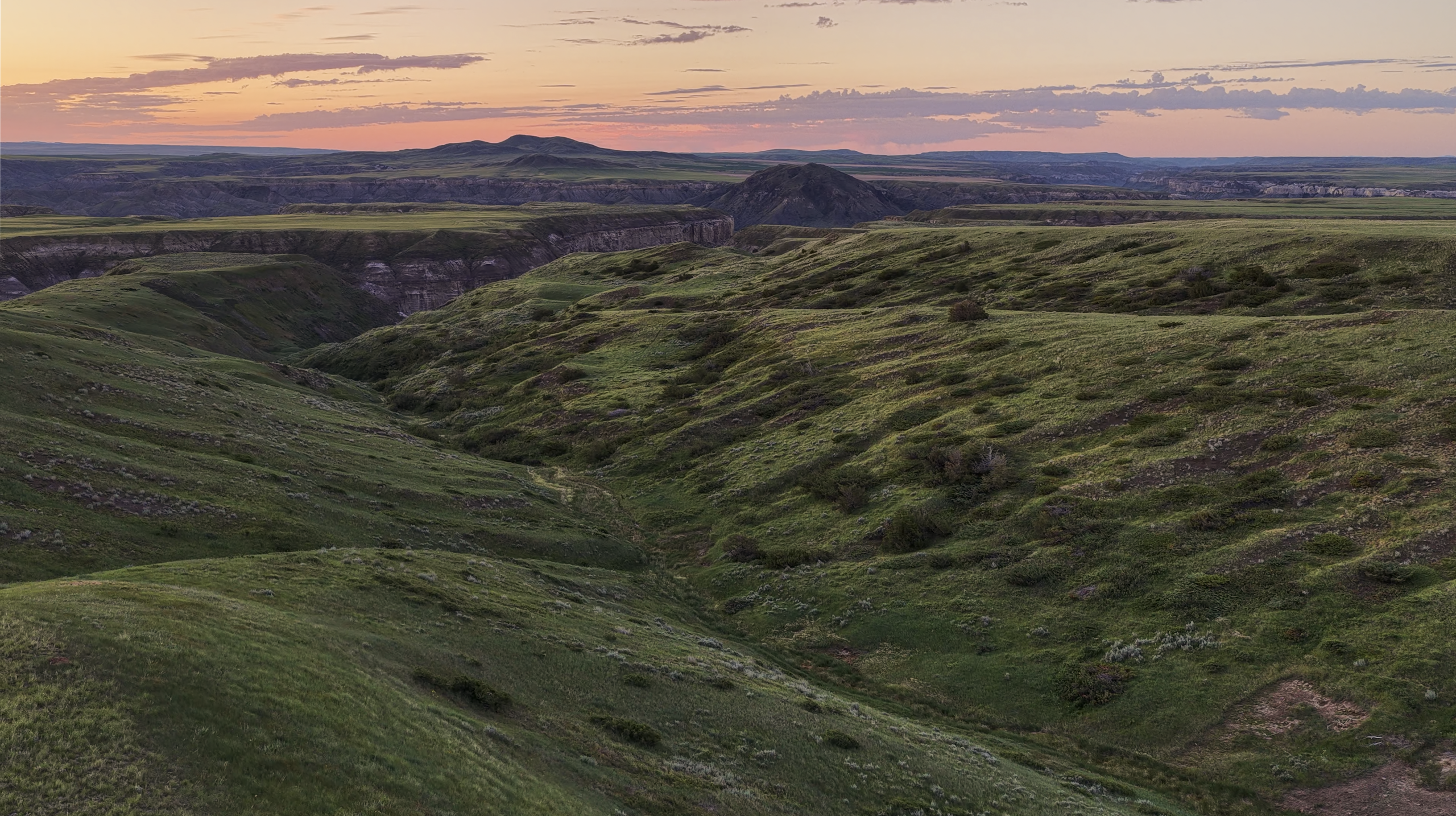 Rolling green hills stretch into the distance under a pastel sunset sky, with distant mountains and a few scattered shrubs visible. The landscape appears serene and expansive.