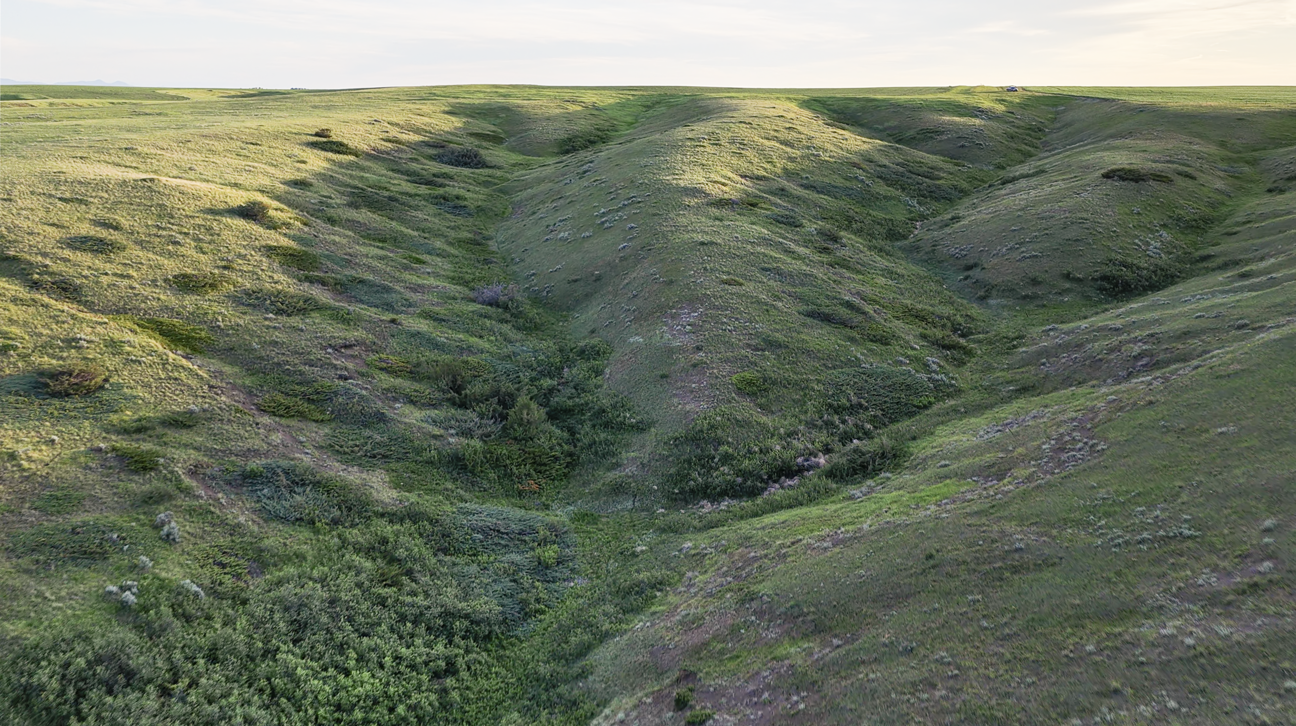 Rolling green hills with a small valley and patches of shrubs and grass under a pale sky, creating a peaceful, natural landscape.