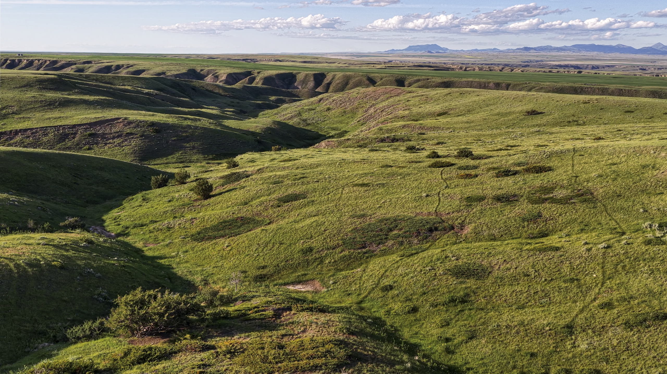 Rolling green hills under a partly cloudy sky, with distant mountains on the horizon. Shadows highlight the contours of the landscape, dotted with patches of small shrubs and grass.