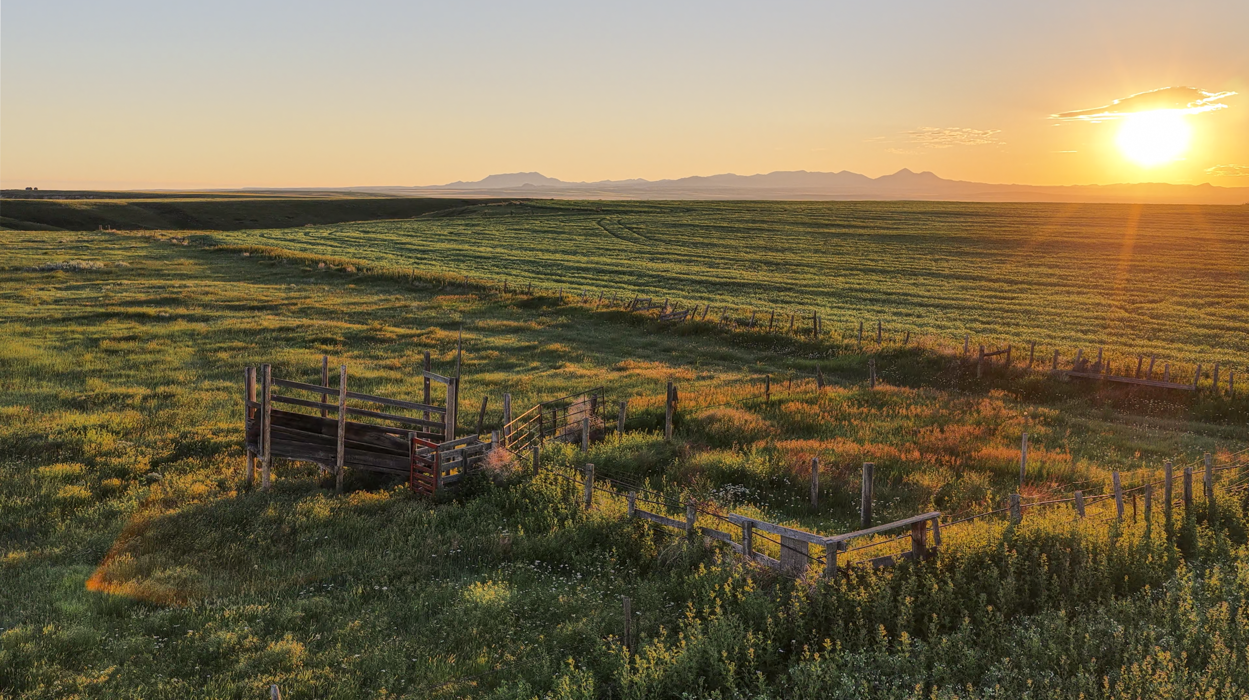 A rural field at sunset with green grass, wooden fencing, and distant mountains under a clear sky. The sun is low on the horizon, casting a golden light over the landscape.