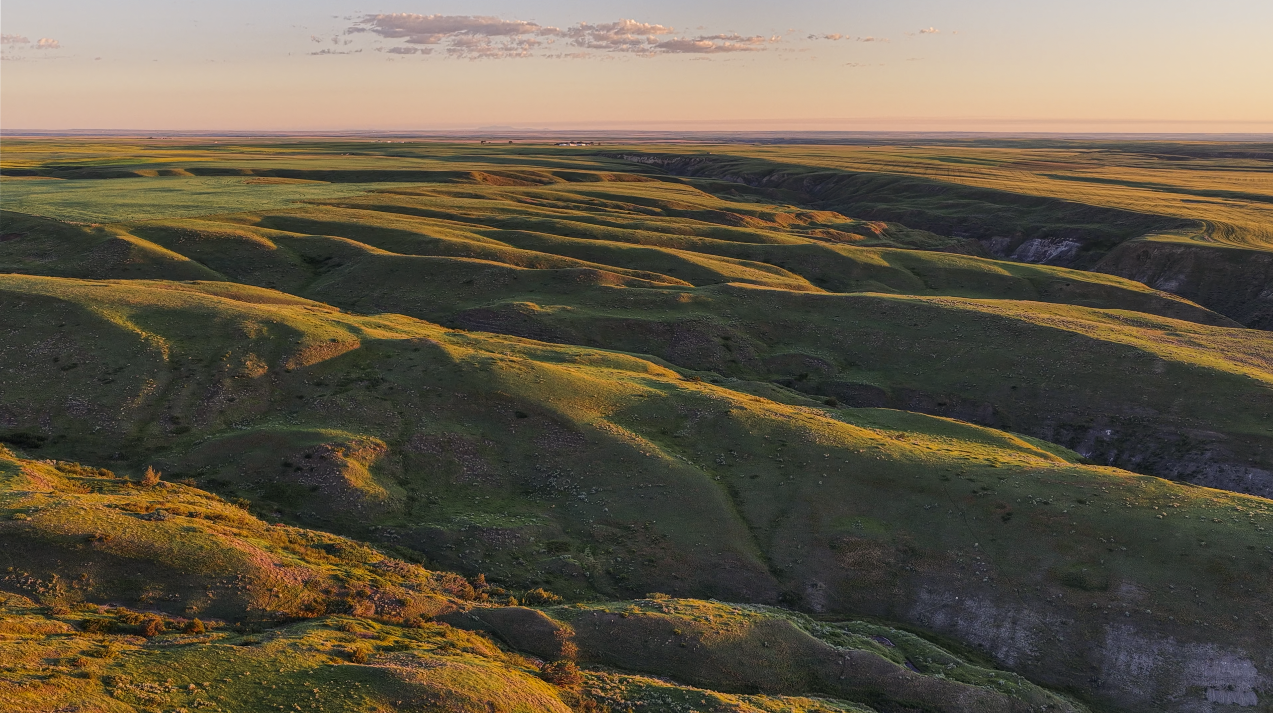 Rolling green hills stretch into the distance under a clear sky at sunset, casting long shadows and creating a peaceful, expansive landscape.