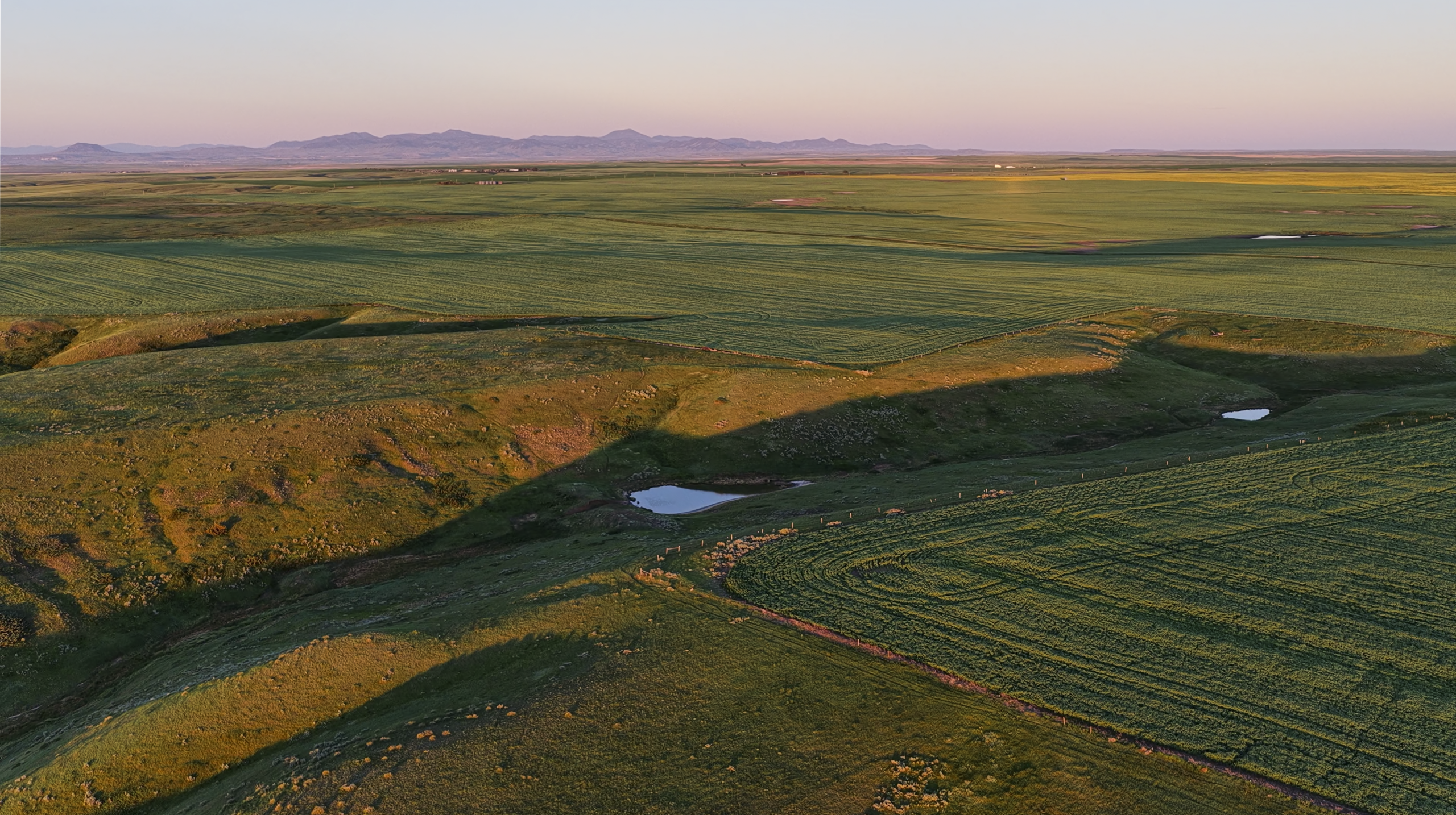 Aerial view of green fields at sunset with gentle hills, small ponds, and distant mountains under a clear sky.