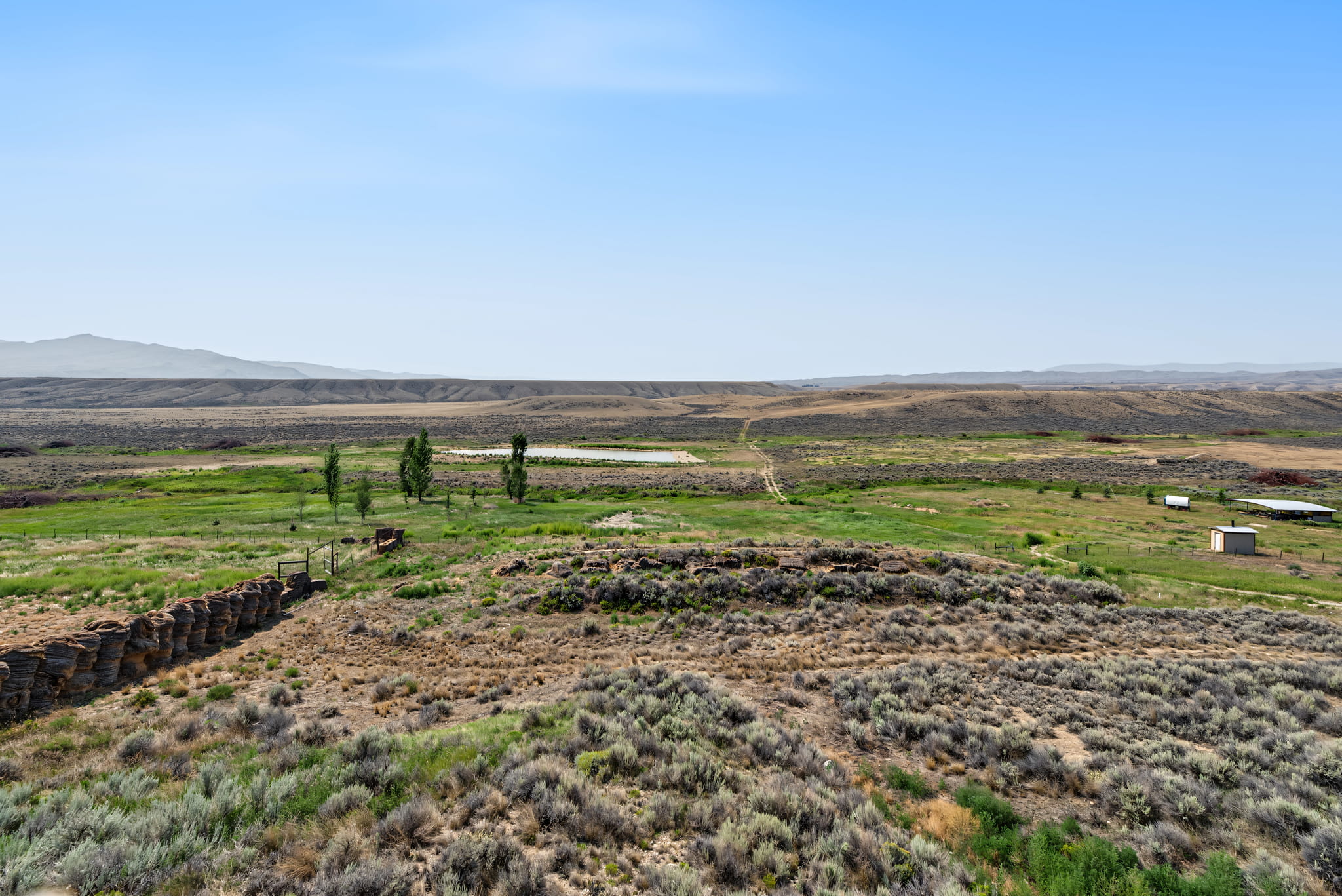 A vast, open landscape with dry grass, patches of green vegetation, a small pond, scattered trees, and distant hills under a clear blue sky.